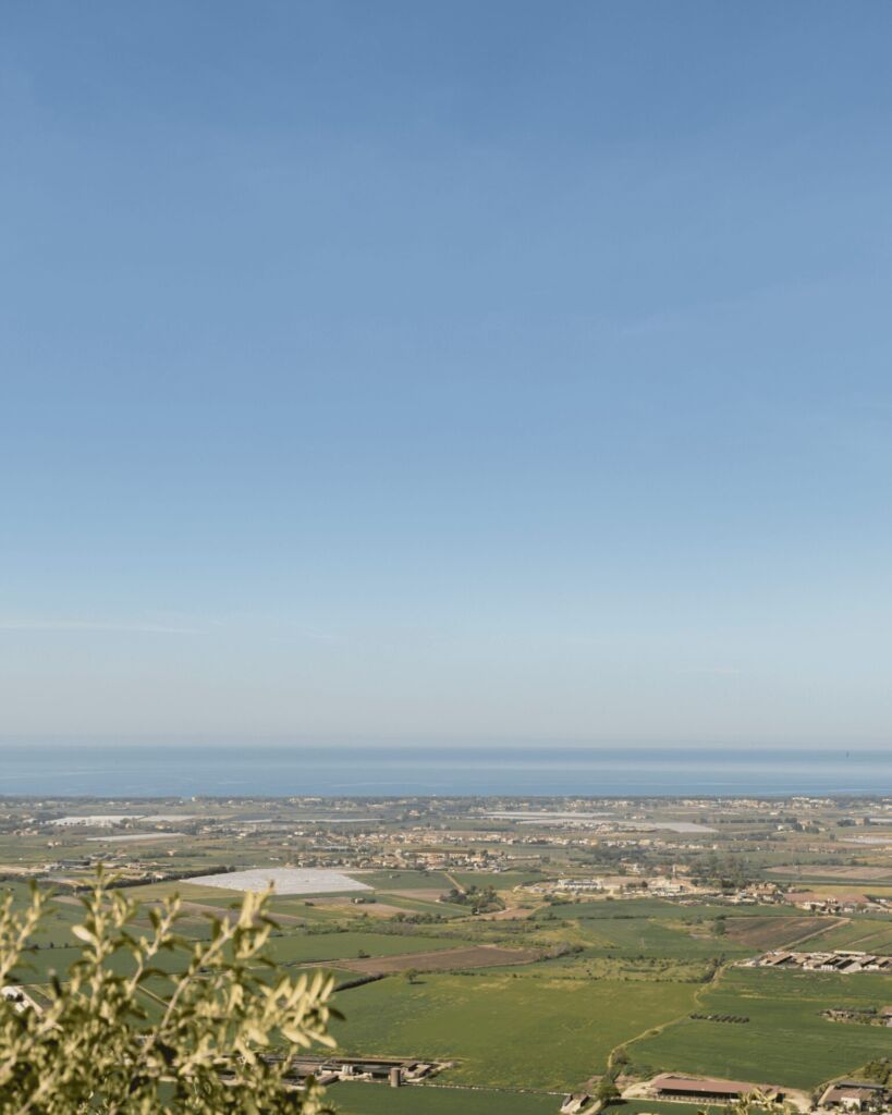 Paestum City Tour - Photo 2